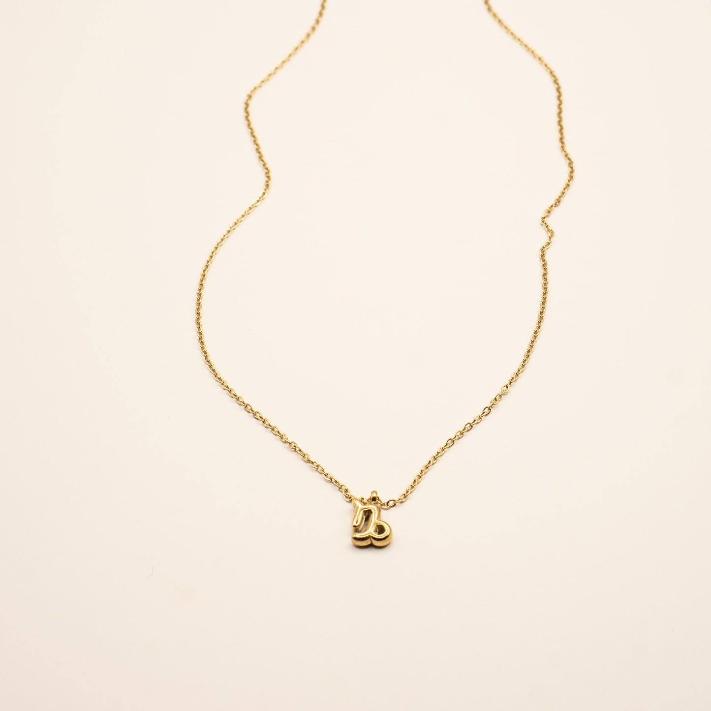 Mini Capricorn Necklace