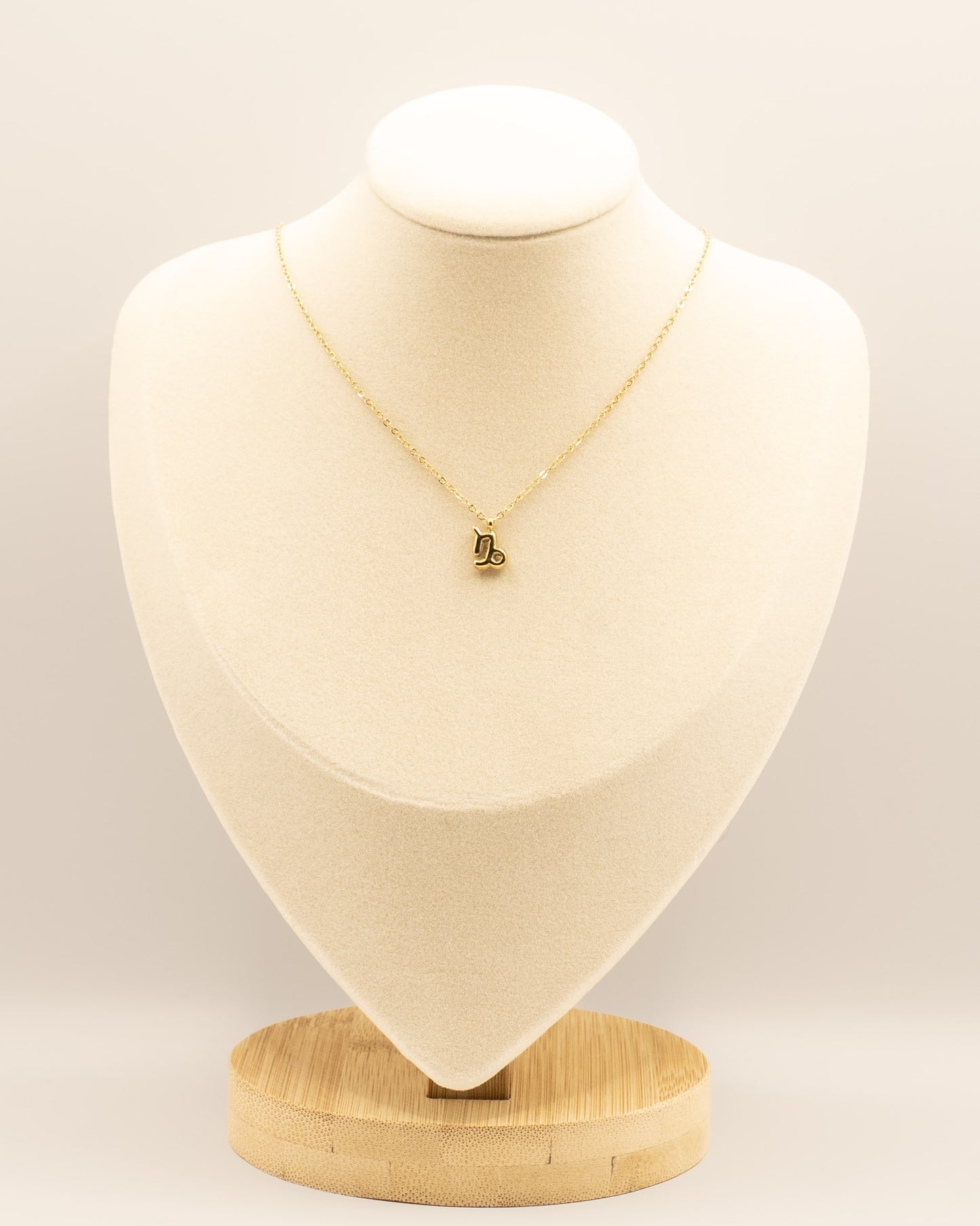Mini Capricorn Necklace